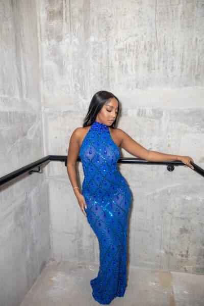 NSB Luxe  Diamond Collection Dress